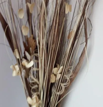 Pensión Einstein House & 3*