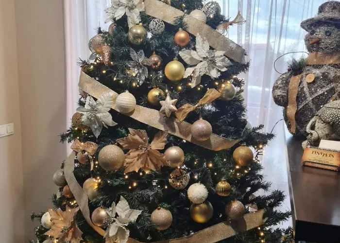 Einstein House & Marchevo