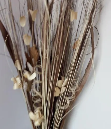 Maison d'hôtes Einstein House & 3*